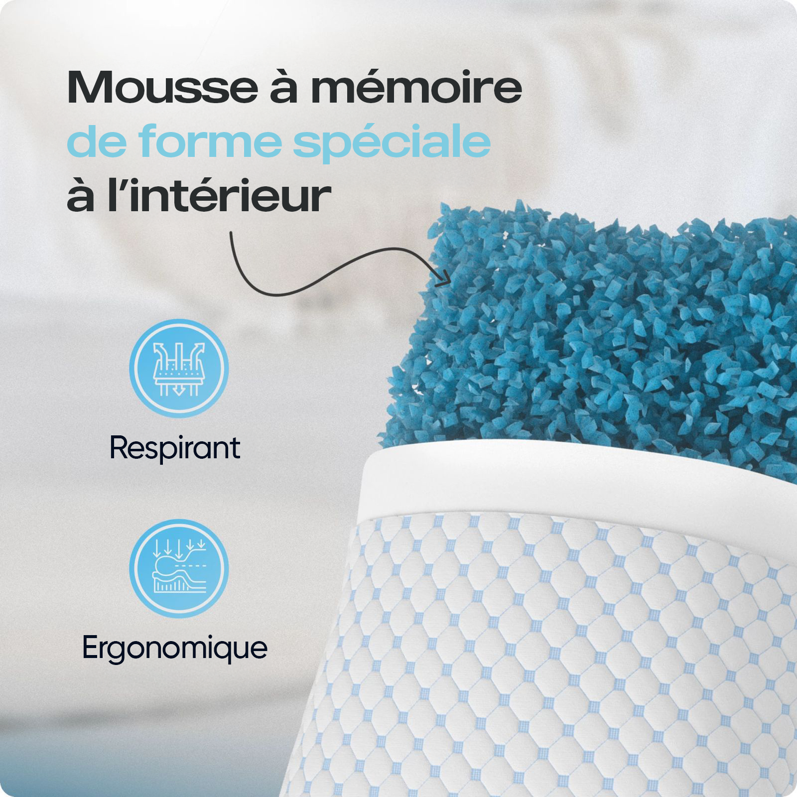 BSS DreamHouse Oreiller Nanotech