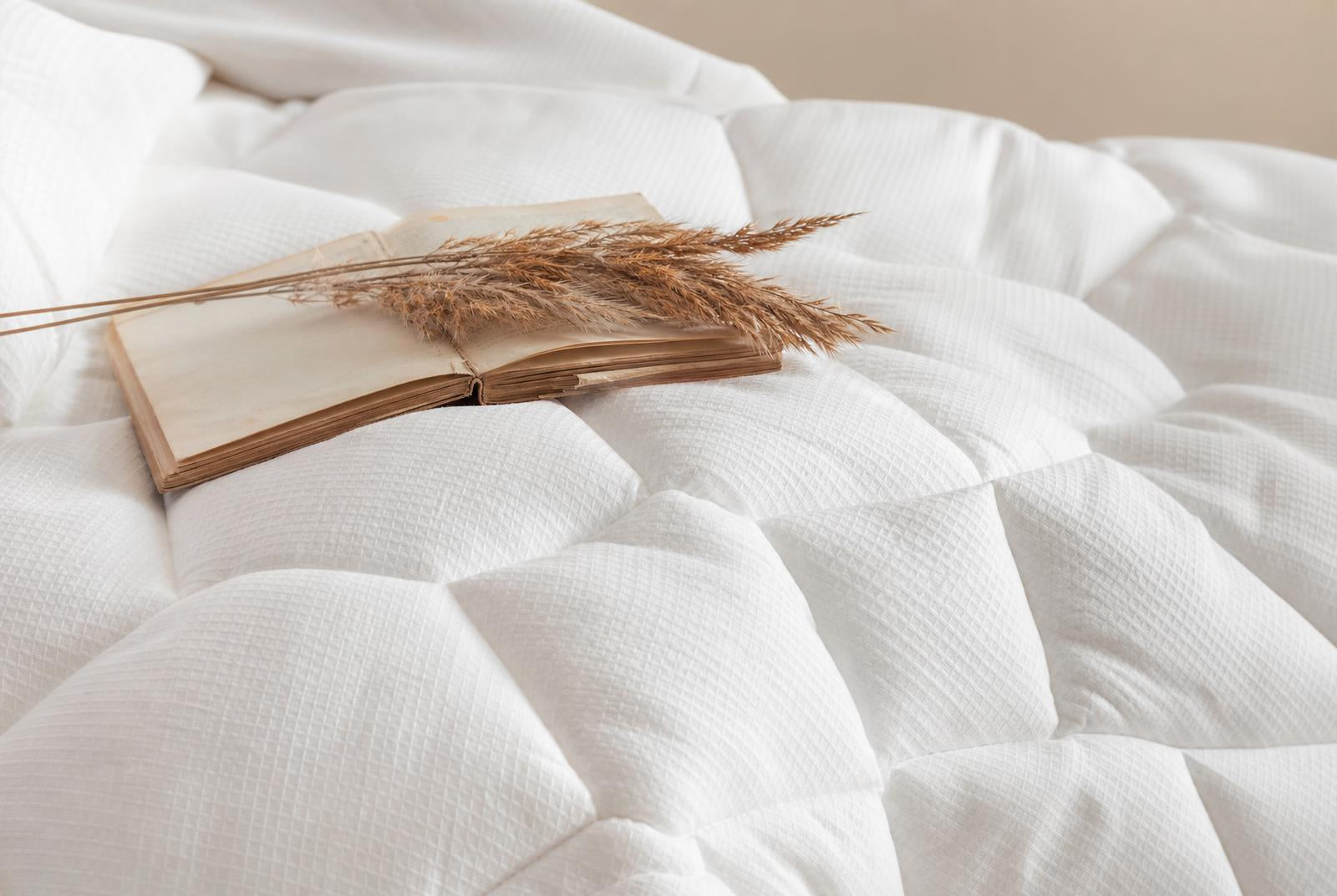 Détail du piquage de la couette Mogy avec livre et pampa