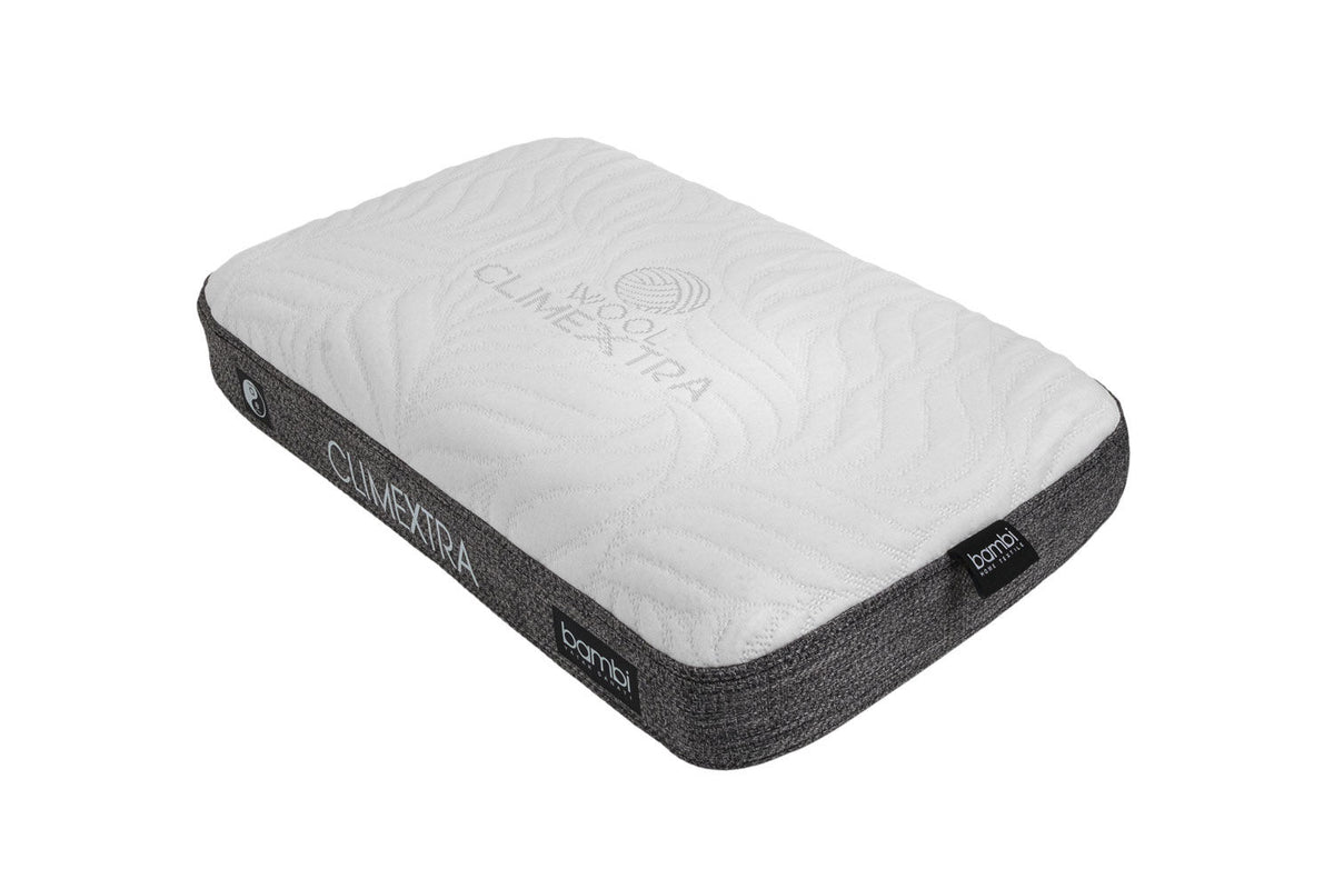 Oreiller Bambi Climextra réversible été hiver